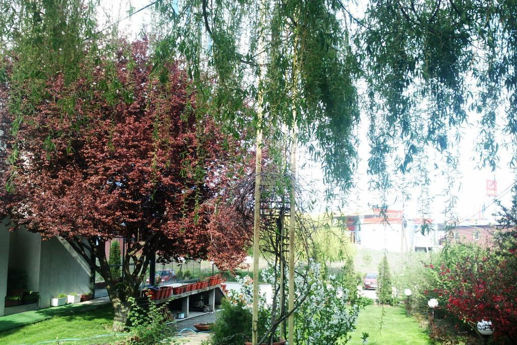 Hotel Aldi Cagllavice Zewnętrze zdjęcie